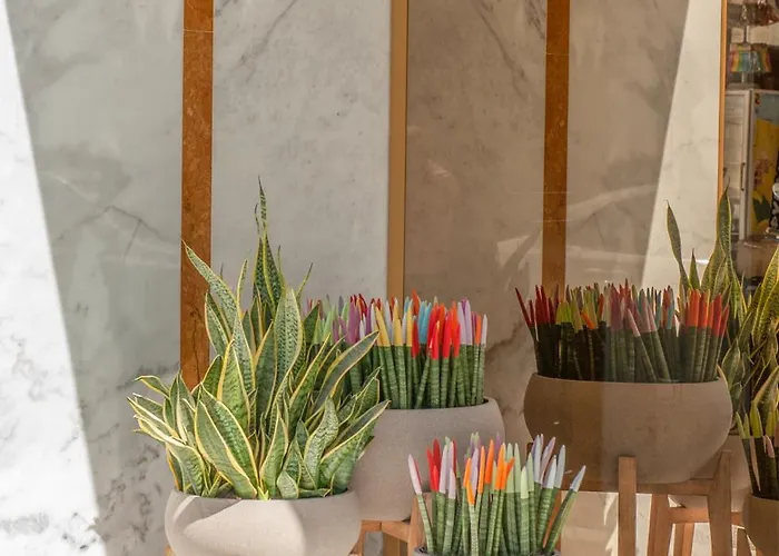 Rhodos Horizon Boutique-adults Only Apart Otel