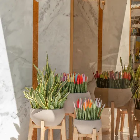 Rhodos Horizon Boutique-adults Only Lägenhetshotell