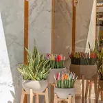 Rhodos Horizon Boutique-adults Only شقة فندقية